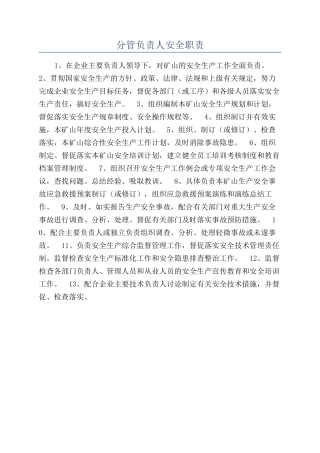 分管负责人安全职责