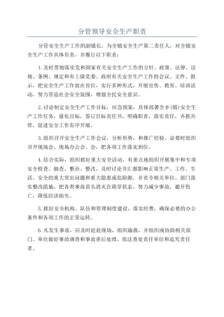分管领导安全生产职责
