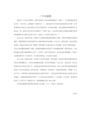 刘学文-三下乡总结