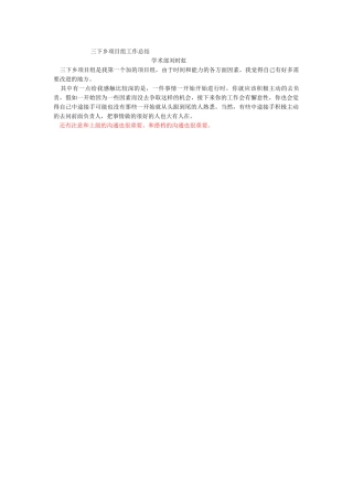 刘时虹三下乡项目组总结