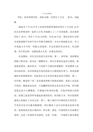 刘淑敏-三下乡总结