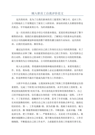刚入职员工自我评价范文