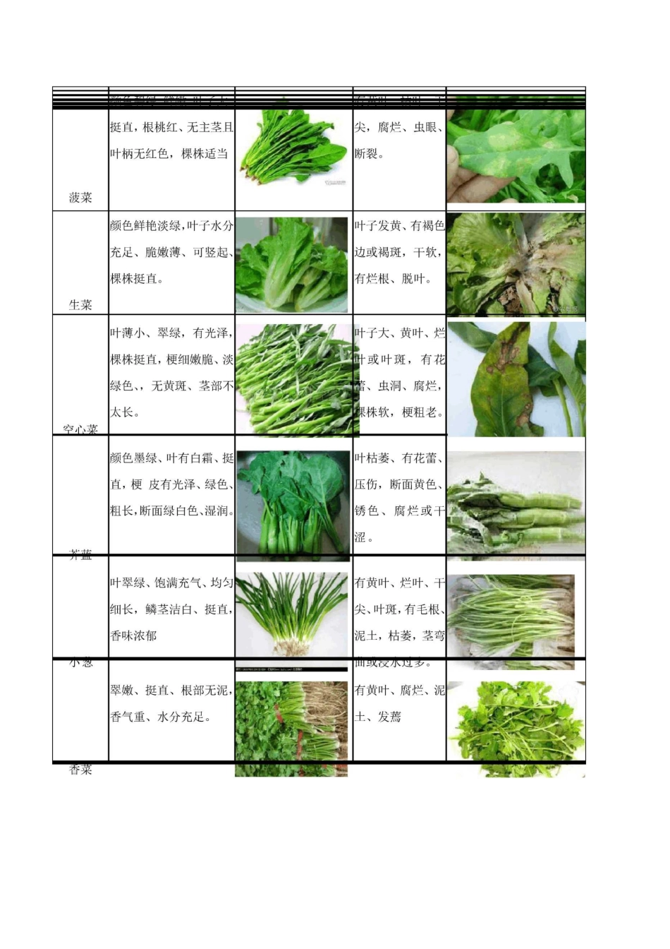 蔬菜采购验收标准及输出管理详尽版_第3页