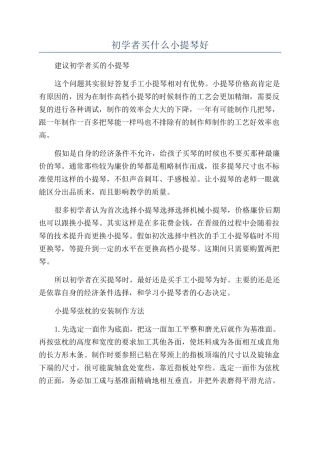 初学者买什么小提琴好