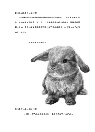 素描动物小兔子绘画步骤