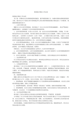 制度执行情况工作总结