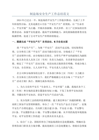 制盐场安全生产工作总结范文