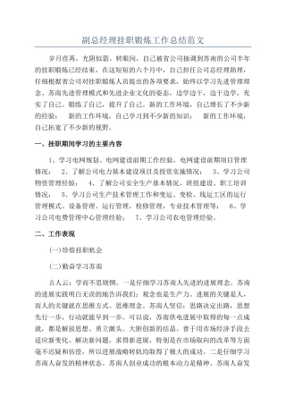 副总经理挂职锻炼工作总结范文