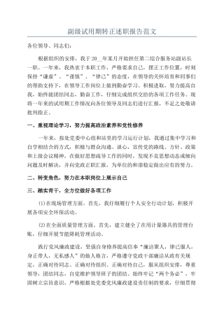 副级试用期转正述职报告范文