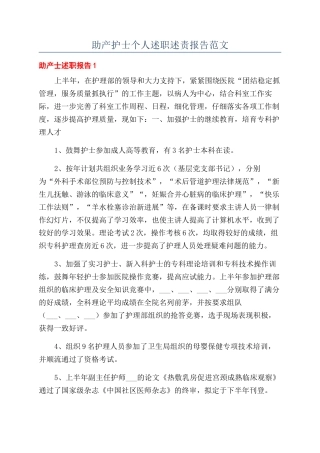 助产护士个人述职述责报告范文