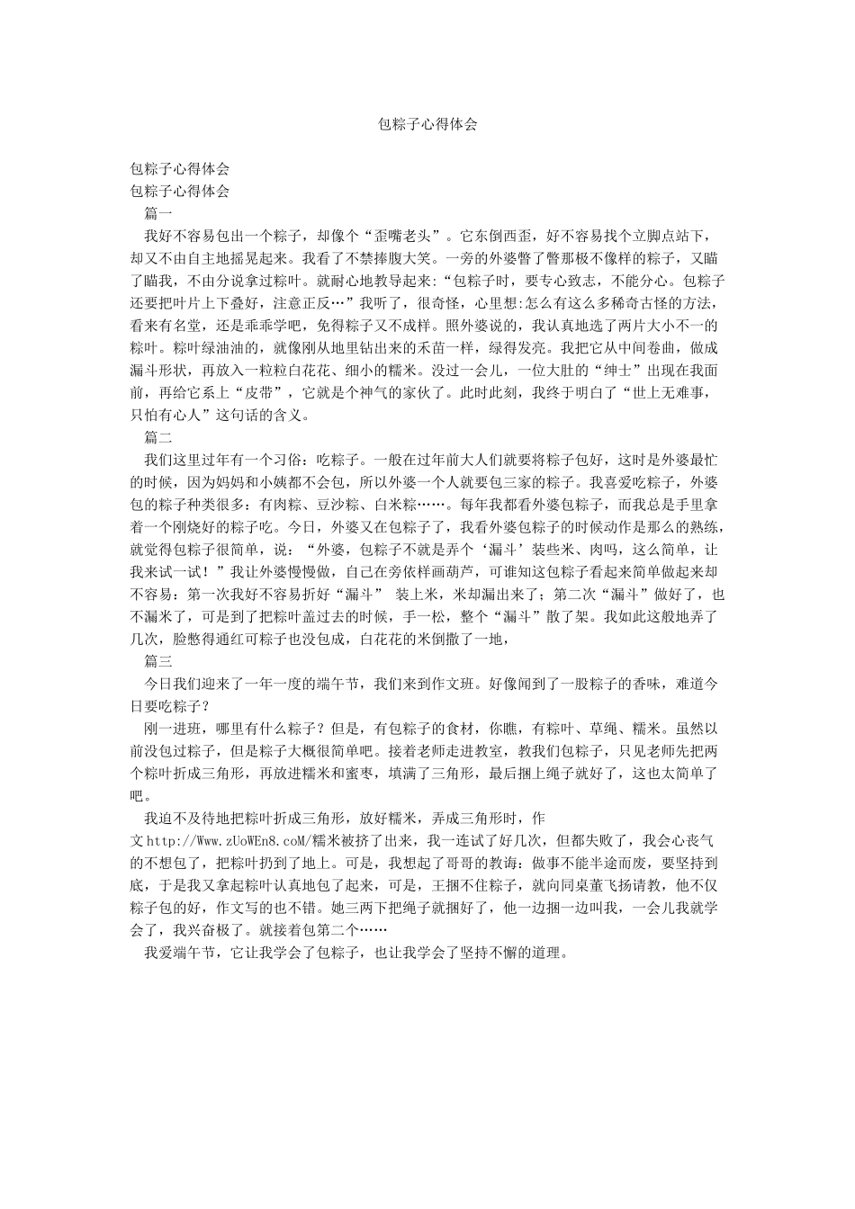 包粽子心得体会_第1页