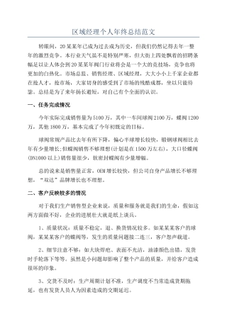 区域经理个人年终总结范文