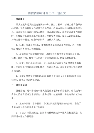 医院内部审计的工作计划范文