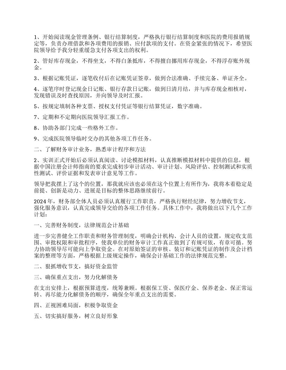 医院出纳新年工作计划_第2页
