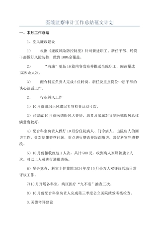 医院监察审计工作总结范文计划