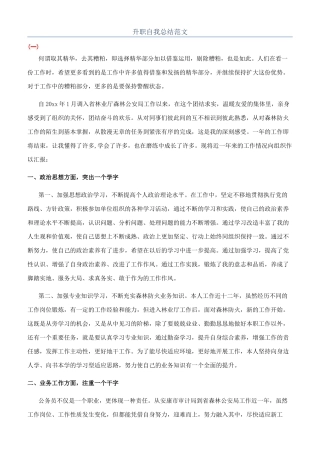 升职自我总结范文