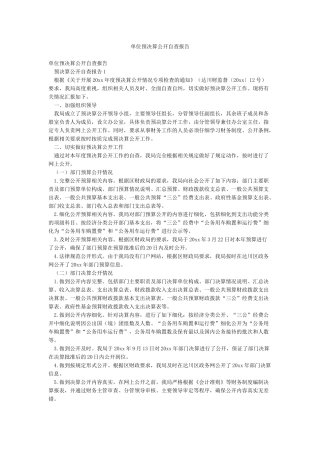 单位预决算公开自查报告