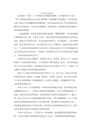 卢婉婷-三下乡总结