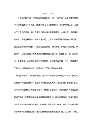 卢敏悦-三下乡总结