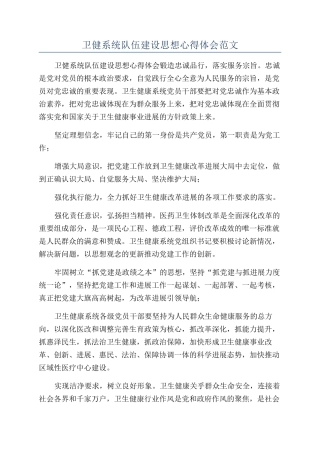 卫健系统队伍建设思想心得体会范文