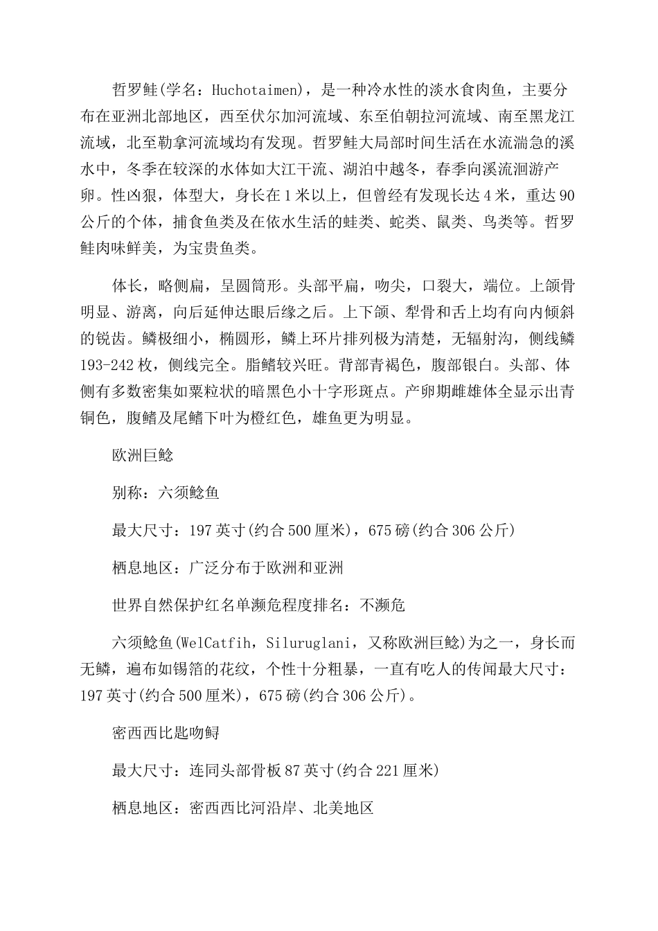 历史上最大的鱼_第2页