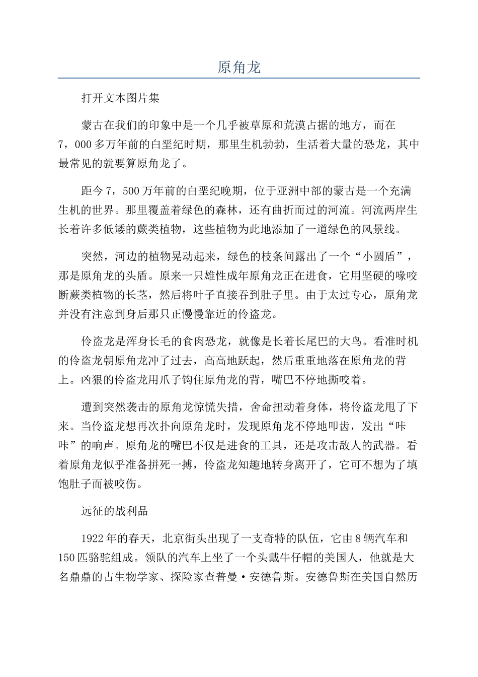 原角龙-精品文档_第1页