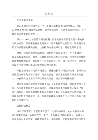原角龙-精品文档