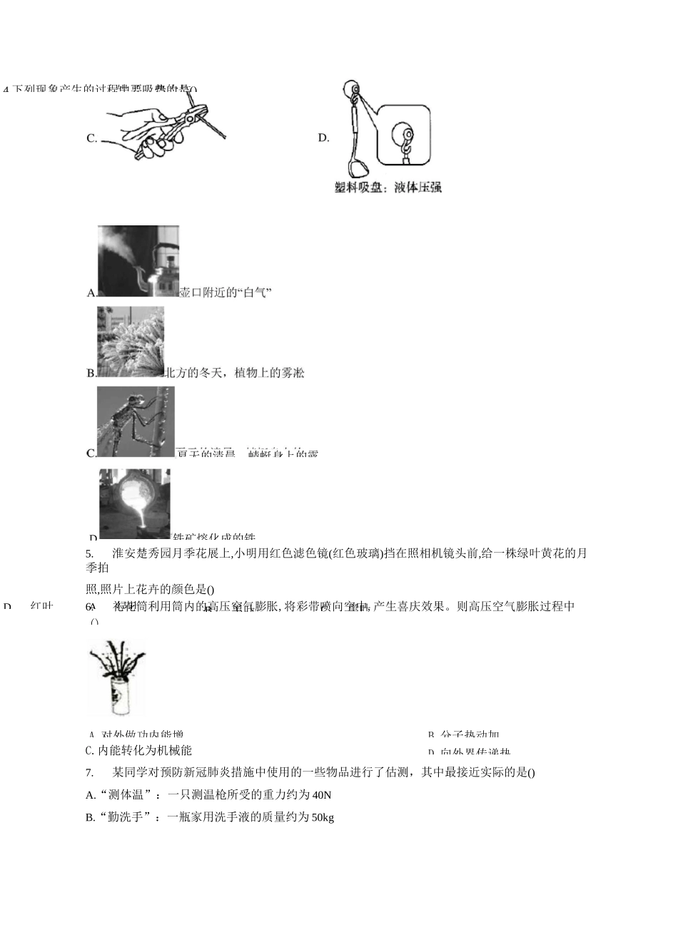 2021届中考物理仿真模拟卷 陕西地区专用_第2页