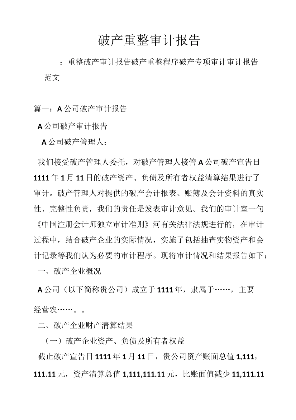 破产重整审计报告_第1页