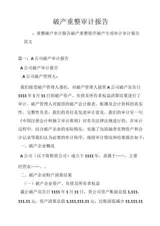 破产重整审计报告