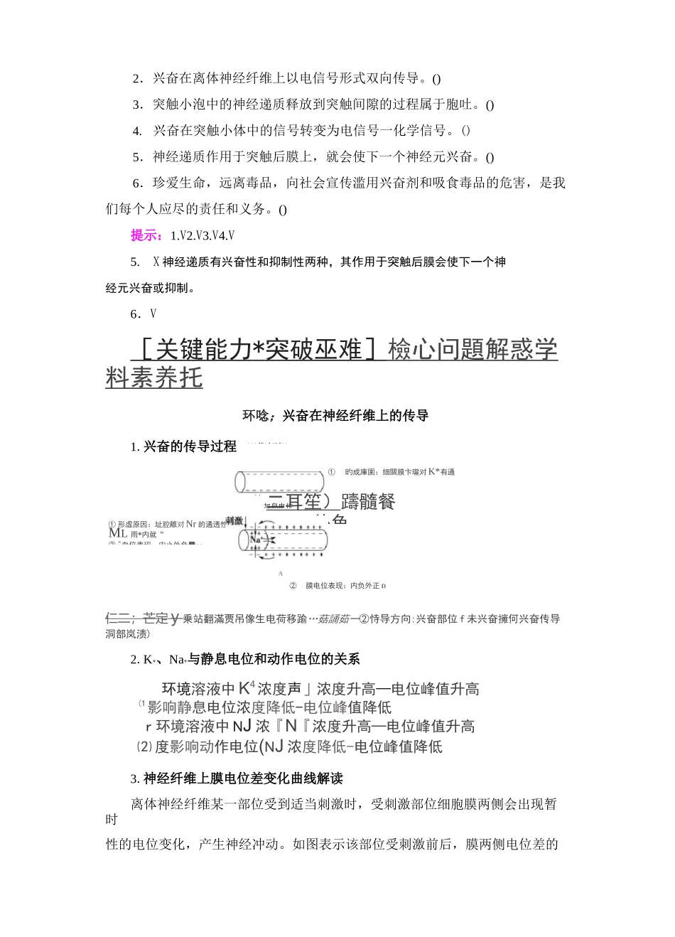 【高中生物】2.3 神经冲动的产生和传导 讲义(知识点 提升 巩固)选择性必修一_第3页