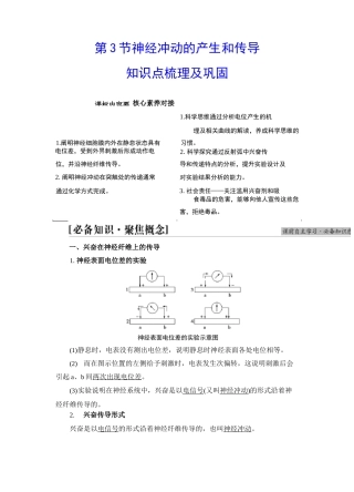 【高中生物】2.3 神经冲动的产生和传导 讲义(知识点 提升 巩固)选择性必修一