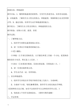 劳动实践活动教案