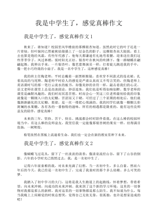 我是中学生了感觉真棒作文