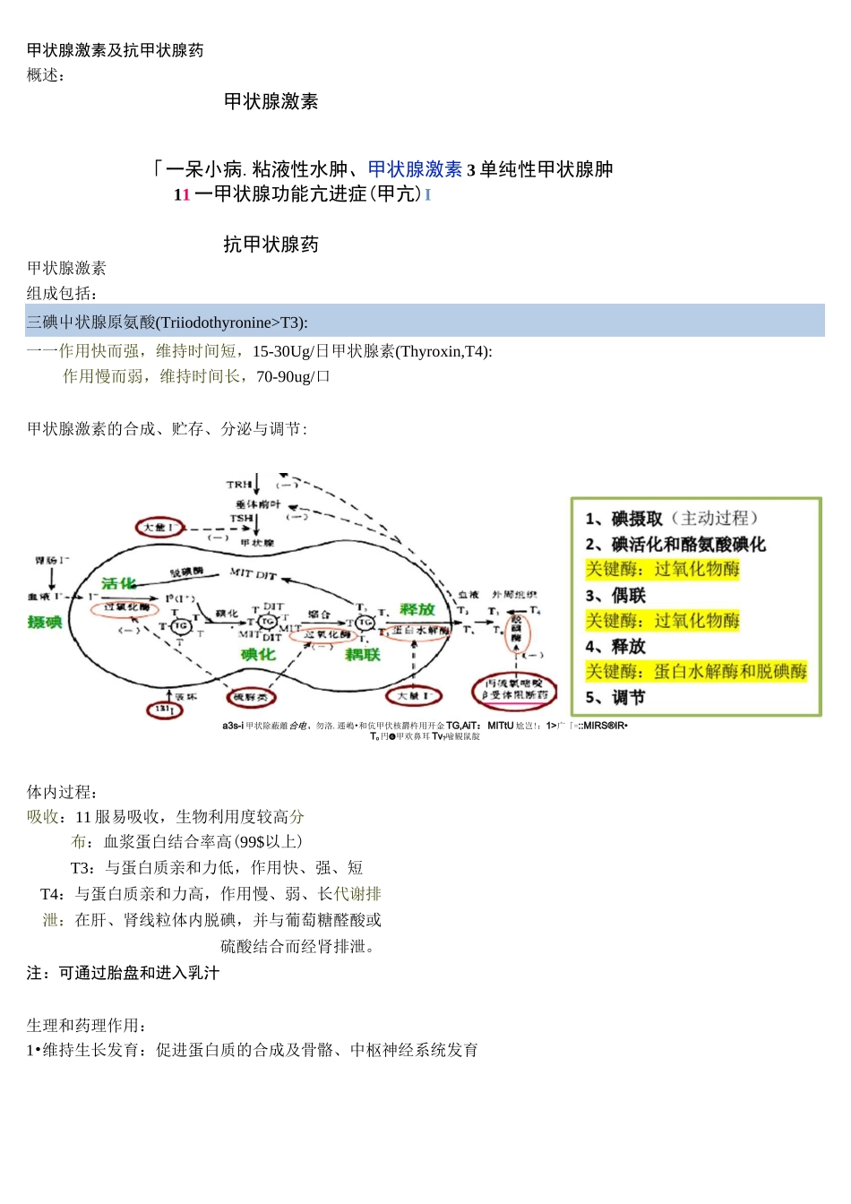 药理学笔记整理之甲状腺激素和胰岛素_第1页