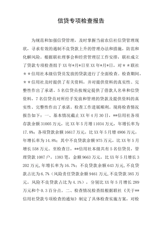 信贷专项检查报告