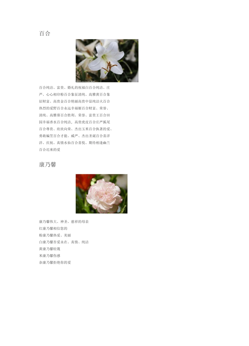 网络小说写作素材-各种花语的集合_第2页