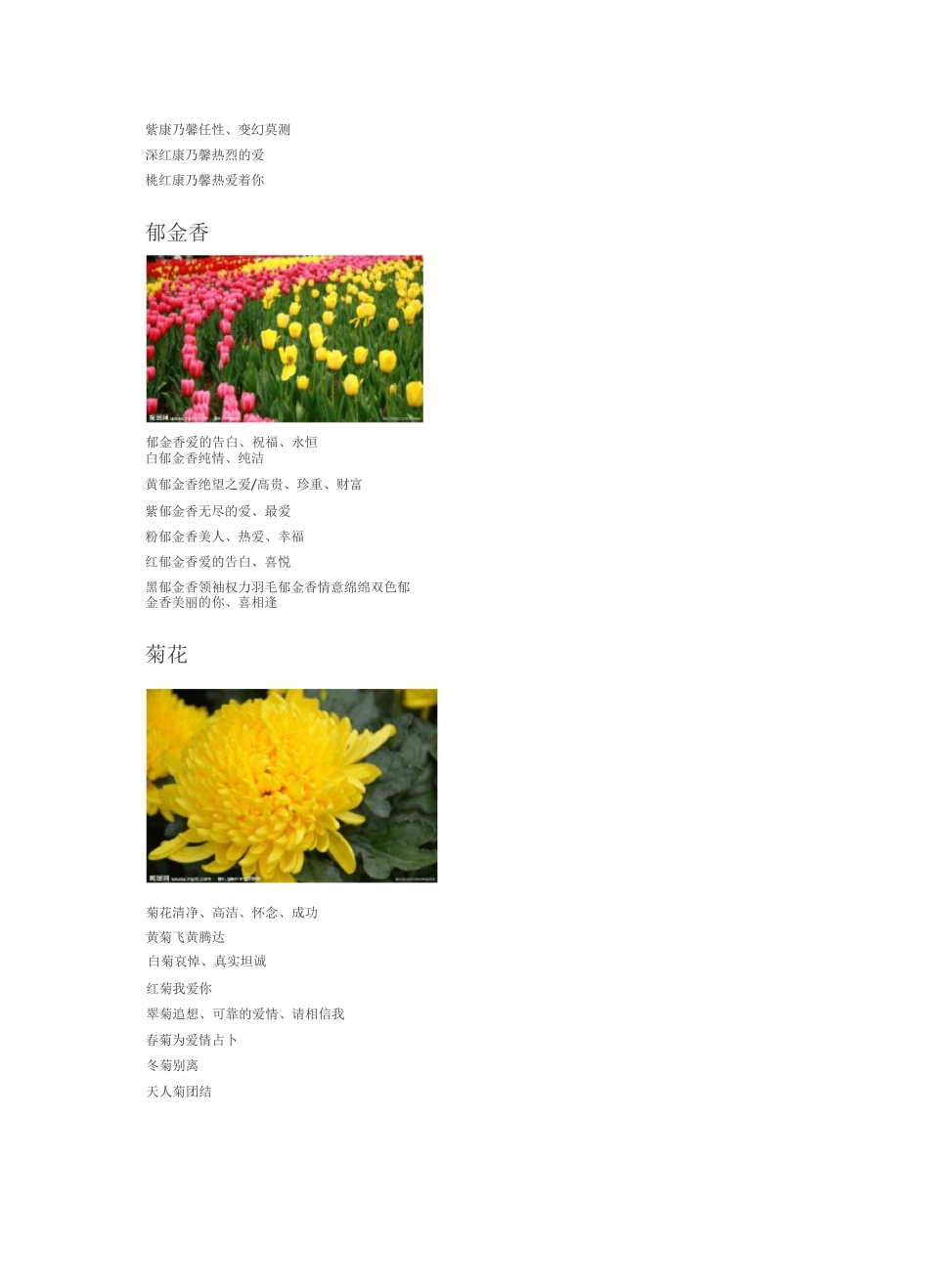 网络小说写作素材-各种花语的集合_第3页