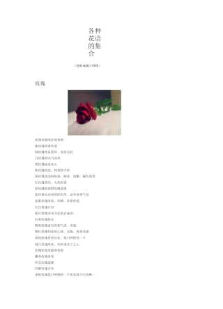 网络小说写作素材-各种花语的集合