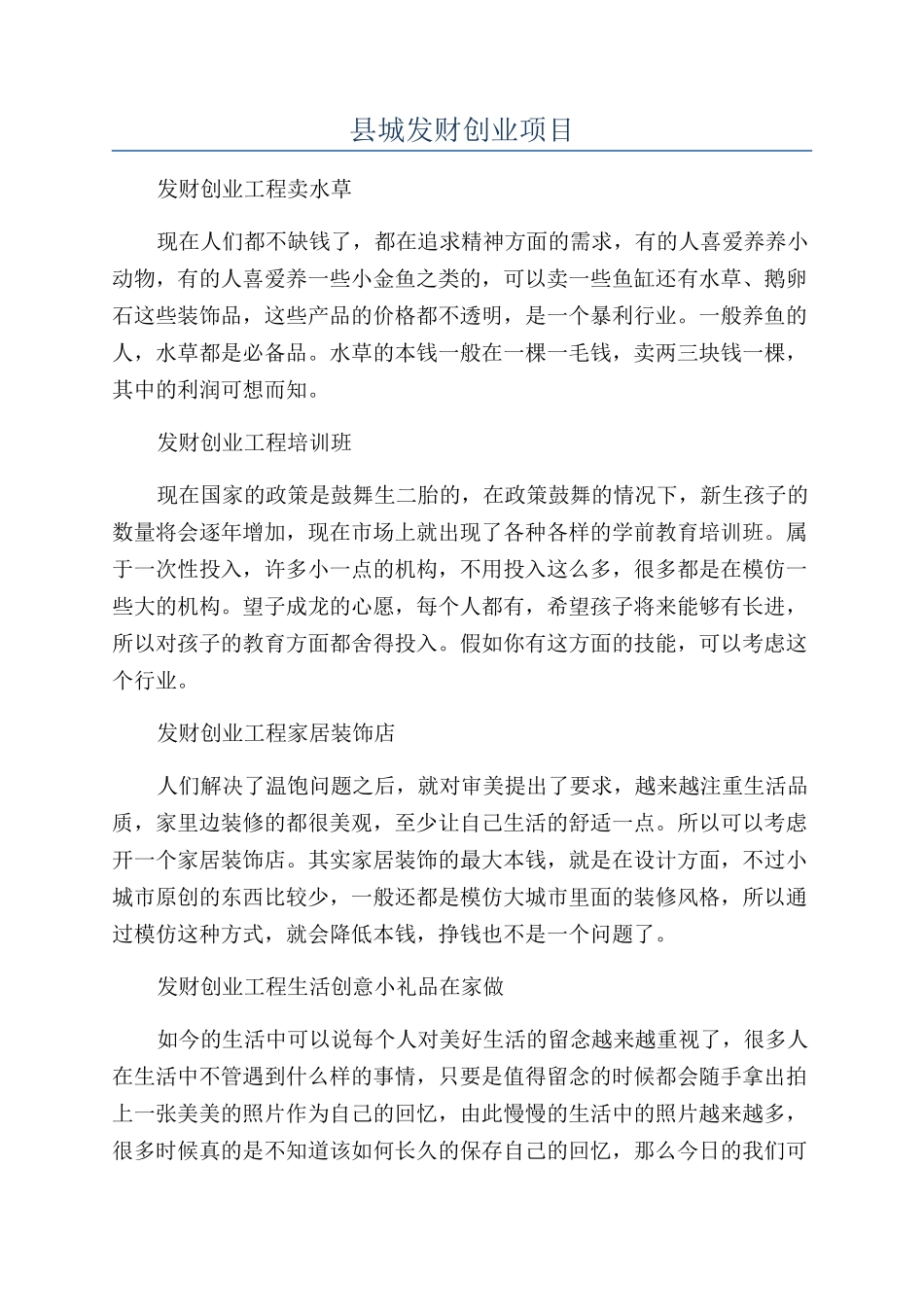 县城发财创业项目_第1页