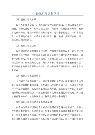 县城发财创业项目