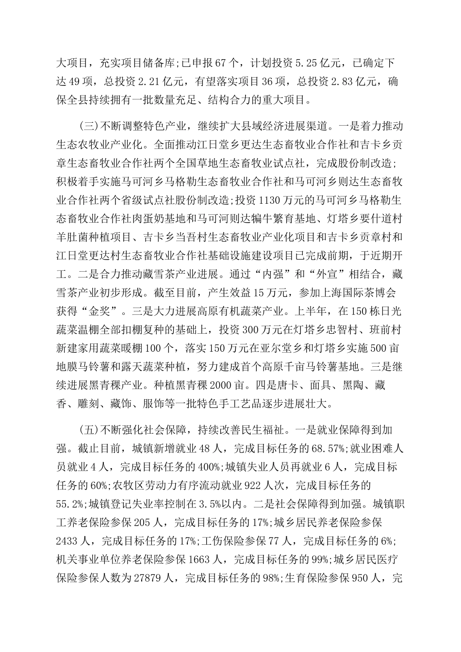 县年上半年工作总结范文及下半年工作计划范文_第2页