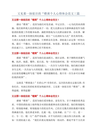 又见那一抹炫目的“橙黄个人心得体会范文三篇