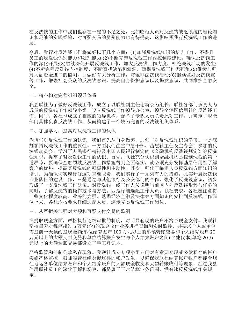 反洗钱工作报告_第2页