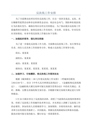 反洗钱工作安排