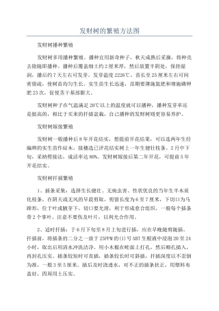 发财树的繁殖方法图