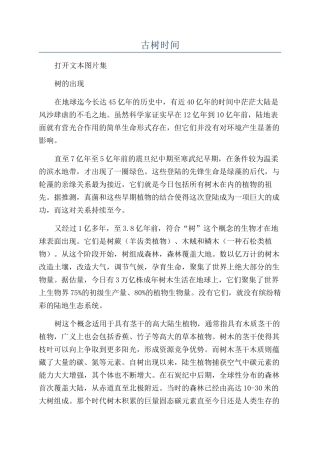 古树时间-精品文档