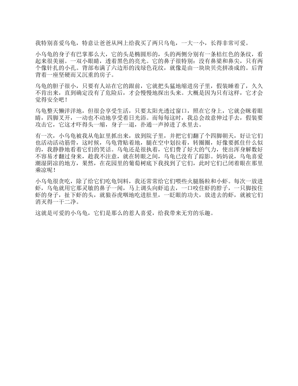 可爱的乌龟作文600字_第1页