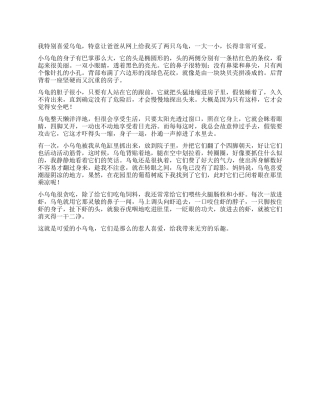 可爱的乌龟作文600字