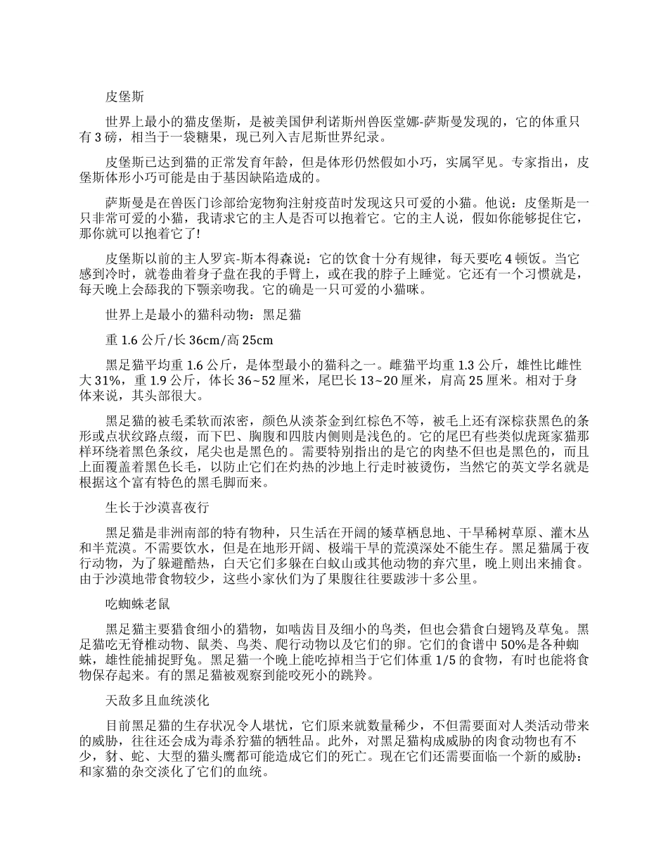 史上最小的猫咪_第1页